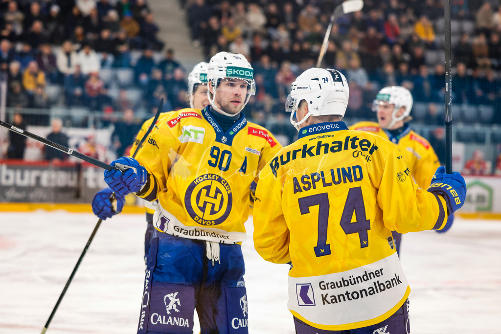 EHCB vs HCD 20260106_wb-0592 | Sportbilder, Sportfotograf, Hochzeits- und Eventfotografin, Flugshows, Portraits und Tiershooting, Aviation, Downhill, Nationalleague, Swissleague, International