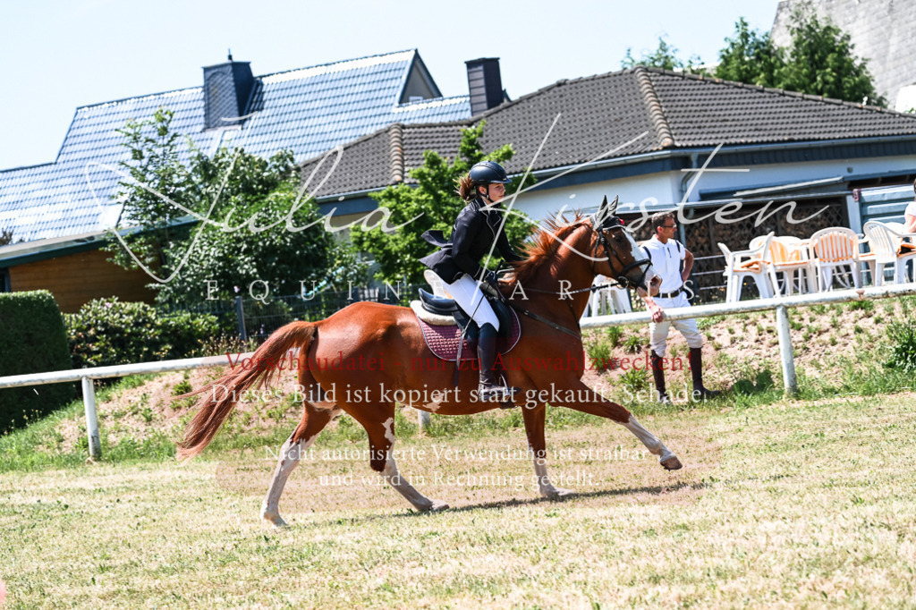 DSC_0023 | Pferde- und Turnierfotografie in Westsachsen. Pferdeportraits, Auftragszeichnungen und intuitive Kunst.