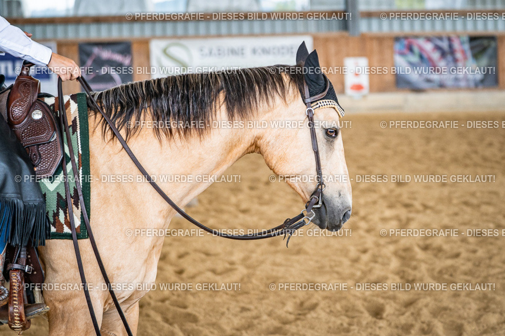 DSC03578 | Pferdegrafie