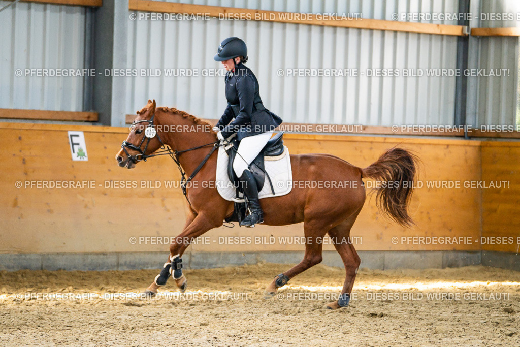 DSC01511 | Pferdegrafie