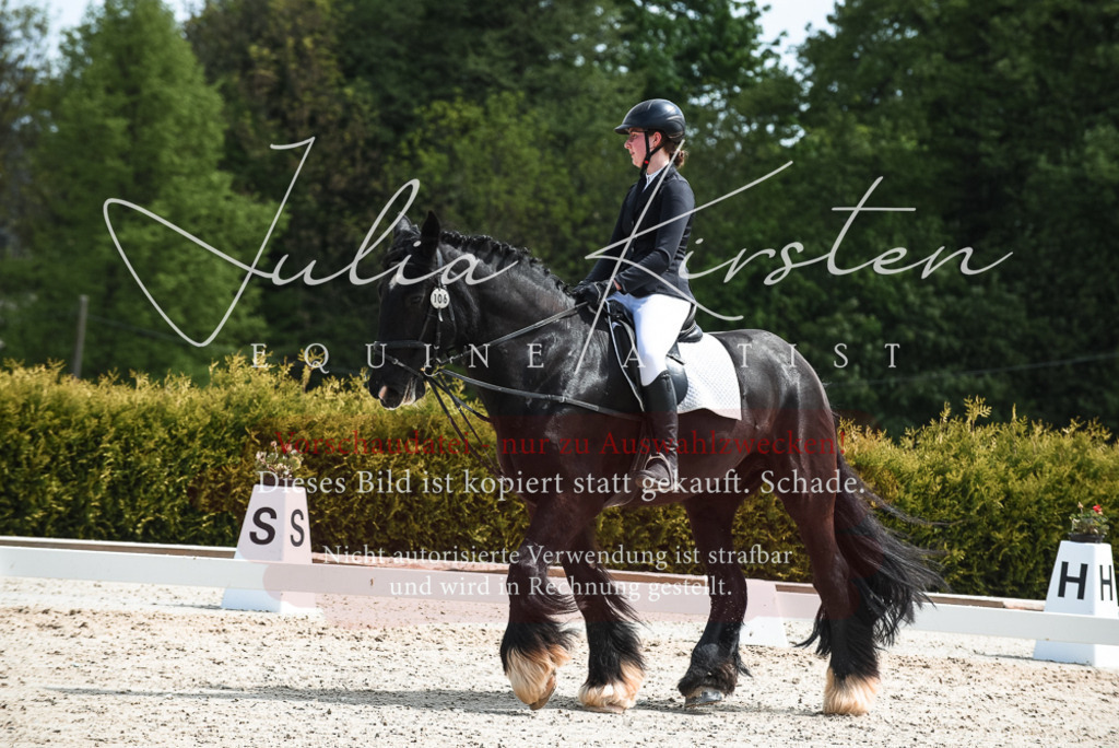 20230518_JK-Röhrsdorf-11-0312 | Pferde- und Turnierfotografie in Westsachsen. Pferdeportraits, Auftragszeichnungen und intuitive Kunst.