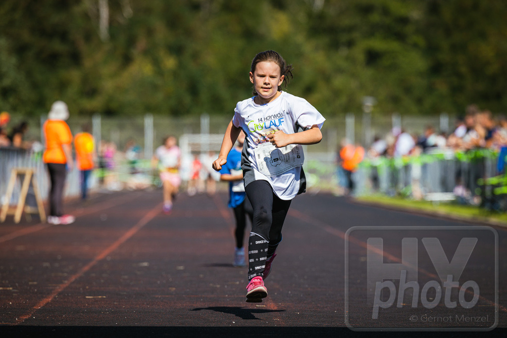 16. Hoywoj-CityLauf im Sportforum Hoyerswerda - 16.09.2023 | 1km VBH-Grundschul-Lauf 2. Klassen - Realisiert mit Pictrs.com
