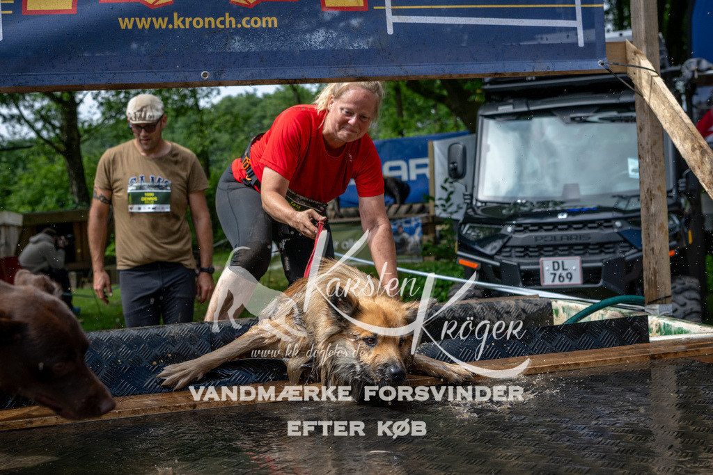 1114_ZZ93242 | kk-dogfotos