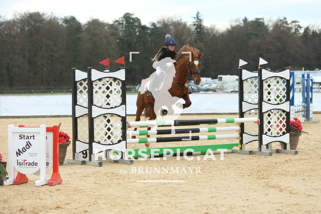 DL2Q2334 | Willkommen bei Brunnmayr - Design & Fotografie – Ihrem Spezialisten für Reitturniere und Pferdeveranstaltungen in Oberösterreich, Salzburg und Bayern! Seit über 17 Jahren sind wir leidenschaftlich dabei.