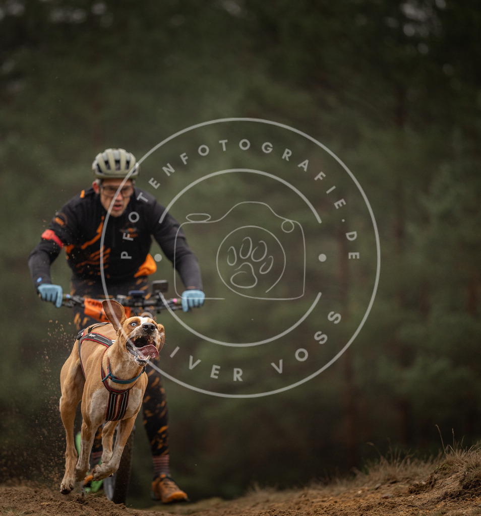 Pfotenfotografie_DV3A4202 | Hundefotografie, Tierfotograf, Pfotenfotografie, Fotoshooting Hund, Hunde Portrait, Hundesport, Hundeportraits, Heideshooting, Hunde, Sportfotograf, Hundefotograf, Turnierhundsport, THS,  - Realisiert mit Pictrs.com