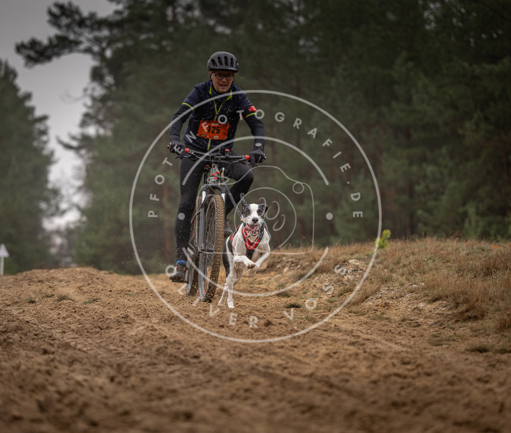 Pfotenfotografie_DV3A3571 | Hundefotografie, Tierfotograf, Pfotenfotografie, Fotoshooting Hund, Hunde Portrait, Hundesport, Hundeportraits, Heideshooting, Hunde, Sportfotograf, Hundefotograf, Turnierhundsport, THS,  - Realisiert mit Pictrs.com