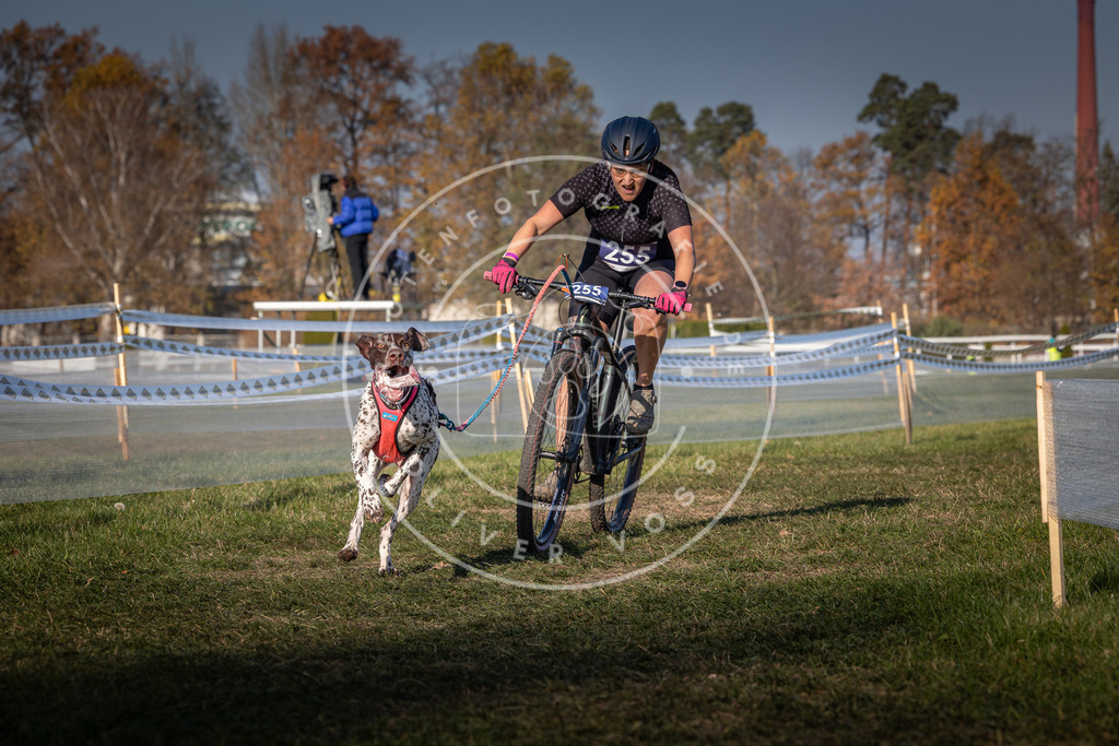 CaniXpix_0L8A6615 | Hundefotografie, Tierfotograf, Pfotenfotografie, Fotoshooting Hund, Hunde Portrait, Hundesport, Hundeportraits, Heideshooting, Hunde, Sportfotograf, Hundefotograf, Turnierhundsport, THS,  - Realisiert mit Pictrs.com