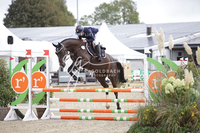 1J2A9364Helena Kilpinen_ Ca Rouge 3_ Kn073_ Havekost | Foto- und Videografie für alles rund ums Pferd. Hochwertige Bilder und Videos vom Spring- und Dressurreiten, Voltigieren & mehr. Jetzt aktuelle Veranstaltungen und Preise im Shop ansehen. - Realisiert mit Pictrs.com