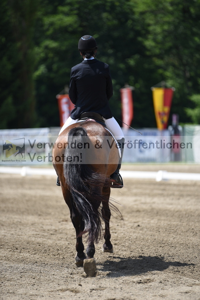 DSC_0124 | equestrian-live-com