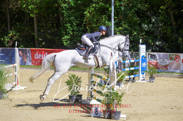 DKP43118 | Turniersportfotografie; Pferdefotografie; Dressurfotografie