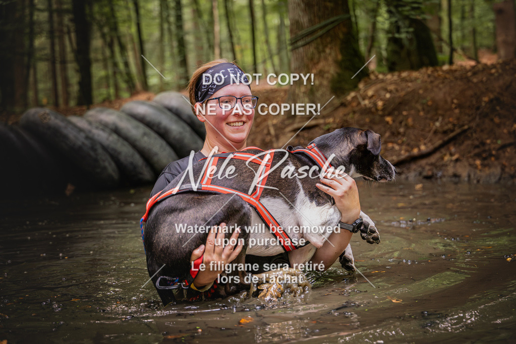 nelerasche_SaWingst1000-1030_266 | nelerasche
