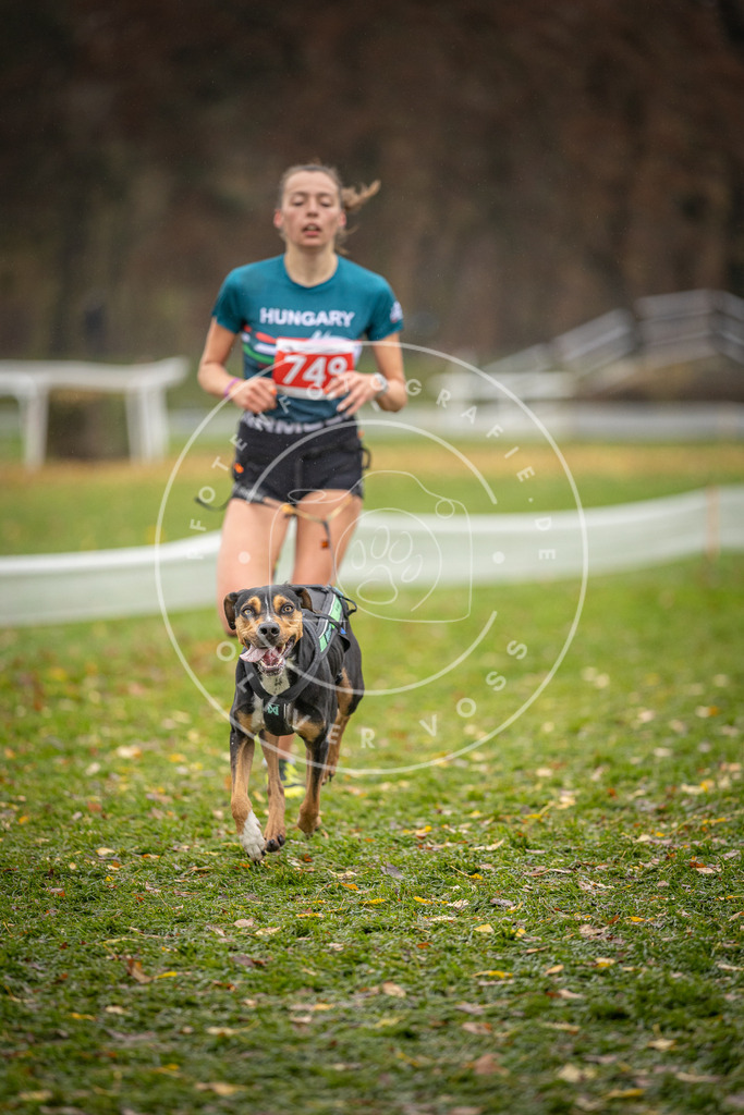 CaniXpix_DV3A9365 | Hundefotografie, Tierfotograf, Pfotenfotografie, Fotoshooting Hund, Hunde Portrait, Hundesport, Hundeportraits, Heideshooting, Hunde, Sportfotograf, Hundefotograf, Turnierhundsport, THS,  - Realisiert mit Pictrs.com
