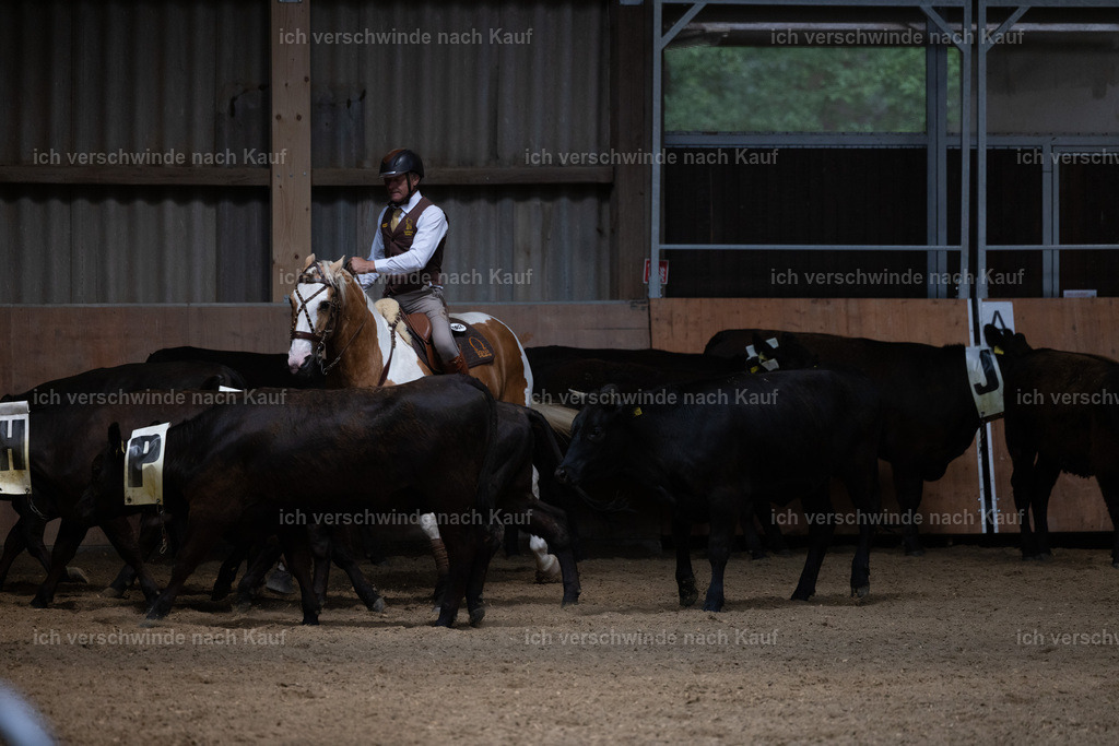 C2_L7593 | working equitationturnier fotograf videograf stoibphotography marixx film working equitation deutschland reitsport turnierfotografie eventfotografie equestrian events