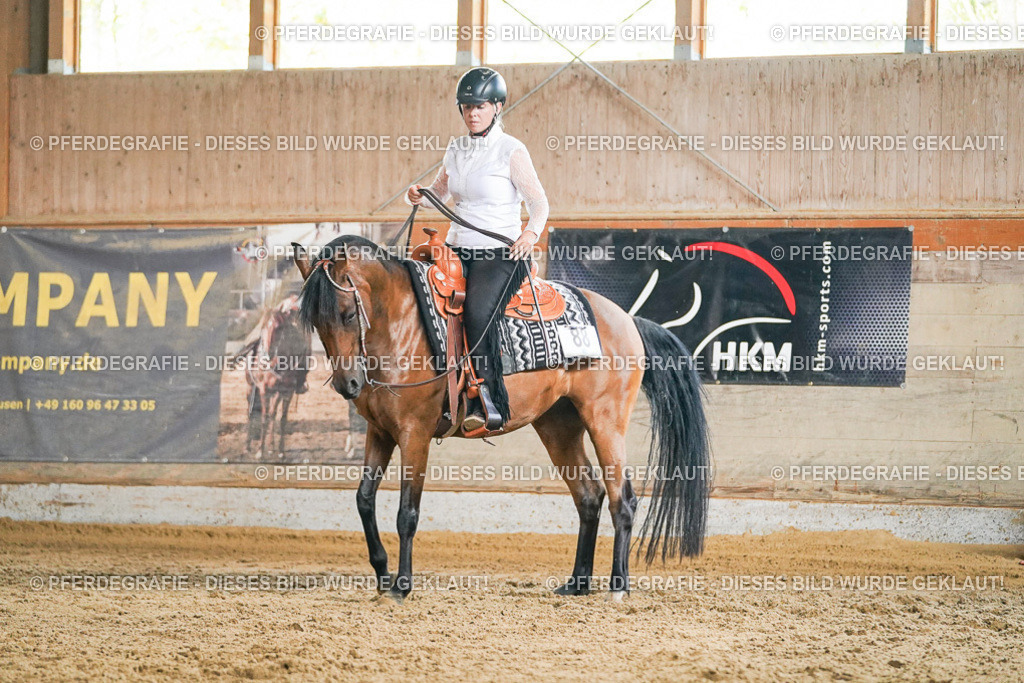 DSC05681 | Pferdegrafie