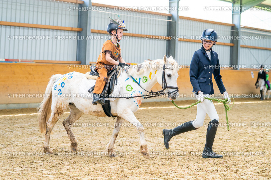 DSC00123 | Pferdegrafie