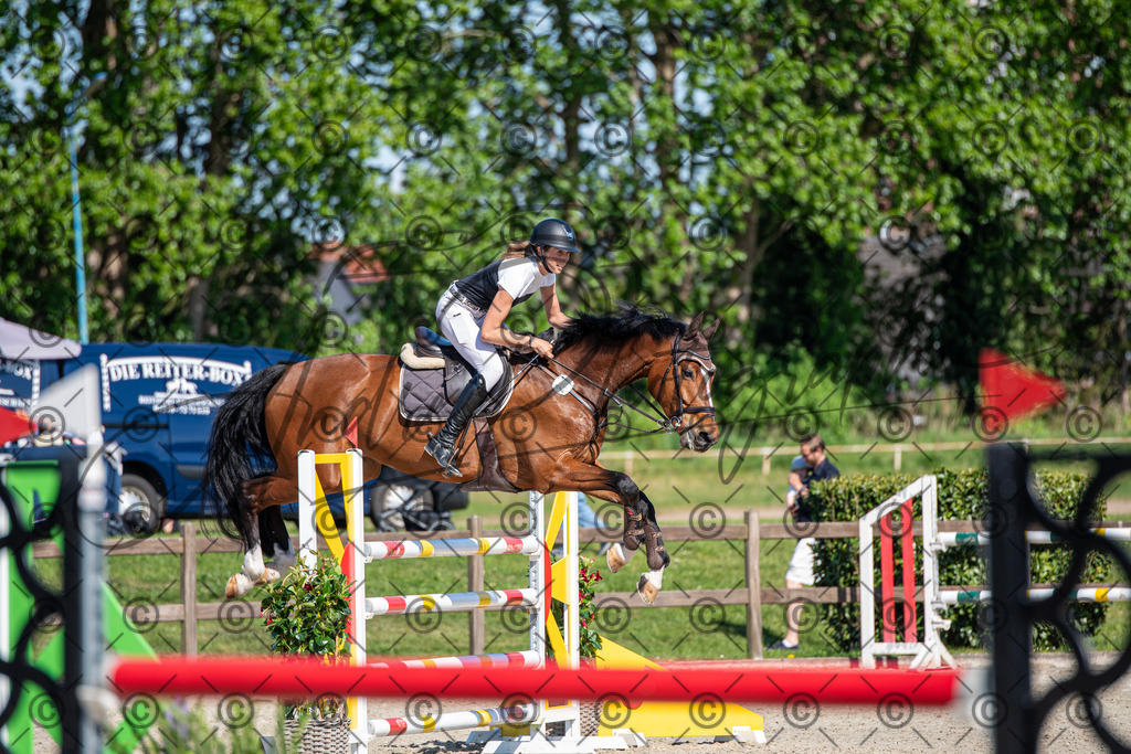 KPT_1560 | andre_photographic