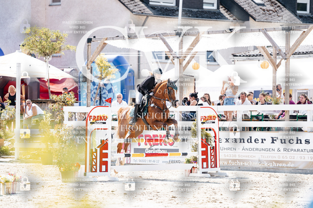 CK909374 | Turnierfotografie Pferdefotografie Trier Rheinland-Pfalz Pferdesport Reitsport Tierfotografie Sportfotografie Pferdevideo Pferdevideografie Equestrianvideography equestrianphotography  - Realisiert mit Pictrs.com