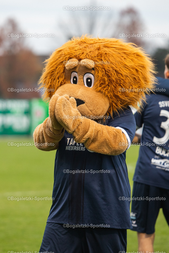 SSVg Maskottchen Friedel | 08.11.2025, Fußball, Regionalliga West, SSVg Velbert - SC Wiedenbrück: SSVg Maskottchen Friedel beklatscht den Sieg - Realisiert mit Pictrs.com