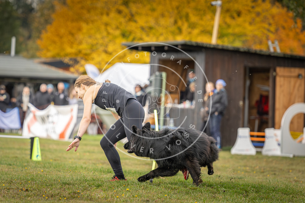 Pfotenfotografie_DV3A2972 | Hundefotografie, Tierfotograf, Pfotenfotografie, Fotoshooting Hund, Hunde Portrait, Hundesport, Hundeportraits, Heideshooting, Hunde, Sportfotograf, Hundefotograf, Turnierhundsport, THS,  - Realisiert mit Pictrs.com