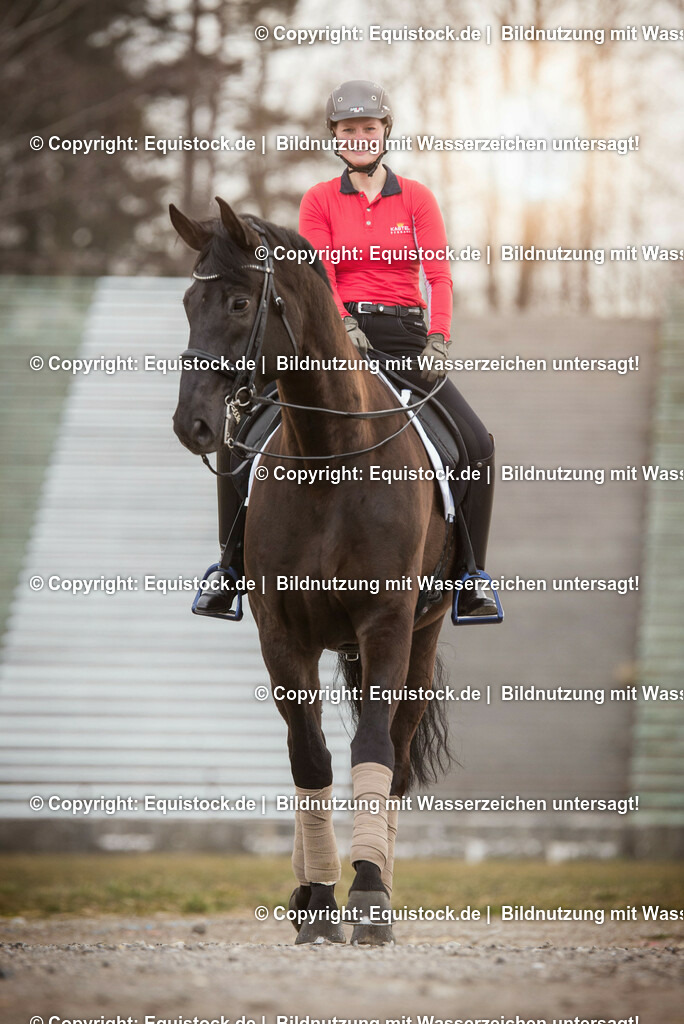 20160322_Meike Lang_0009 | equistock