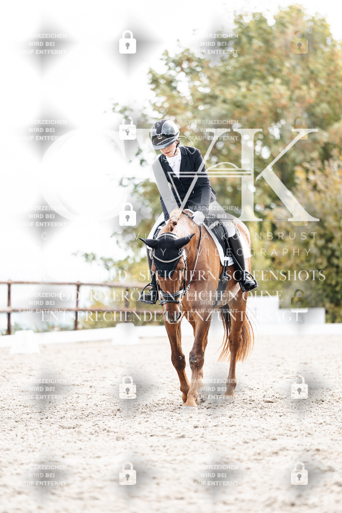 CK900895 | Turnierfotografie Pferdefotografie Trier Rheinland-Pfalz Pferdesport Reitsport Tierfotografie Sportfotografie Pferdevideo Pferdevideografie Equestrianvideography equestrianphotography  - Realisiert mit Pictrs.com