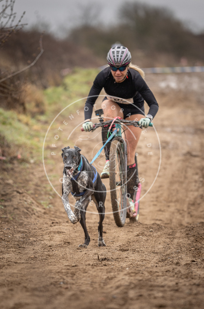 DV3A9562 | Hundefotografie, Tierfotograf, Pfotenfotografie, Fotoshooting Hund, Hunde Portrait, Hundesport, Hundeportraits, Heideshooting, Hunde, Sportfotograf, Hundefotograf, Turnierhundsport, THS,  - Realisiert mit Pictrs.com