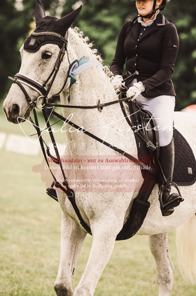 DSC_5177 | Pferde- und Turnierfotografie in Westsachsen. Pferdeportraits, Auftragszeichnungen und intuitive Kunst.
