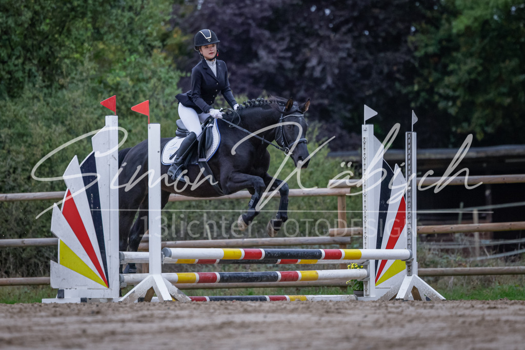 20251012-_3LI2691 | Tierfotografie Pferde, Hunde, Katzen, Haustiere.
Turnierfotografie Reitturniere, Reiten, Springreiten, Dressur in Hanau, dem Main-Kinzig-Kreis und dem Rhein-Main- Gebiet um Frankfurt