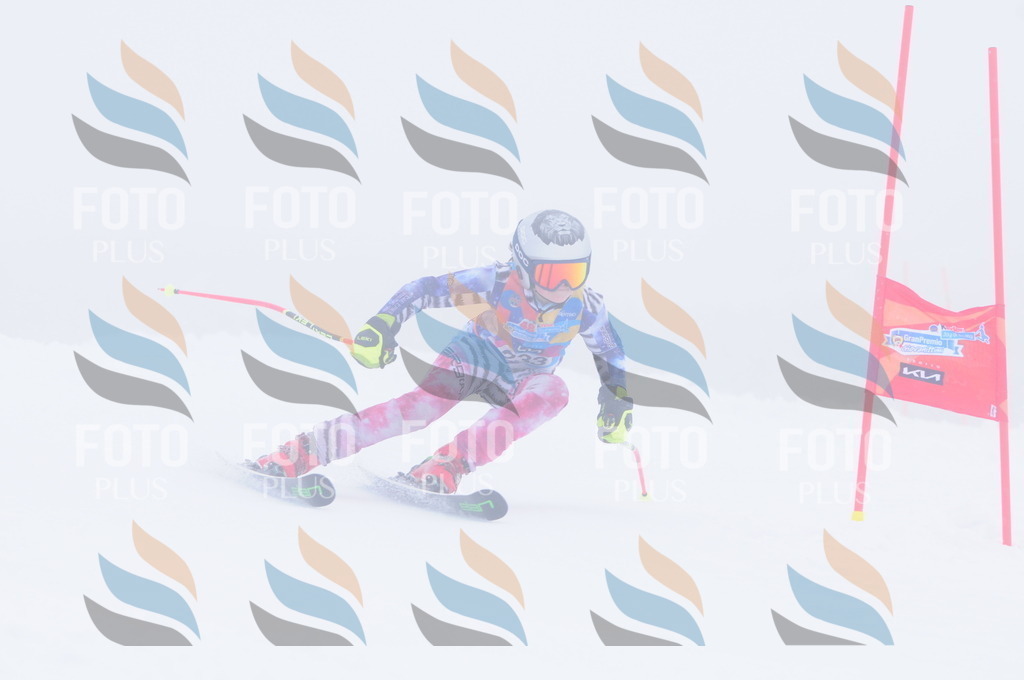 C2440 | holidayphoto