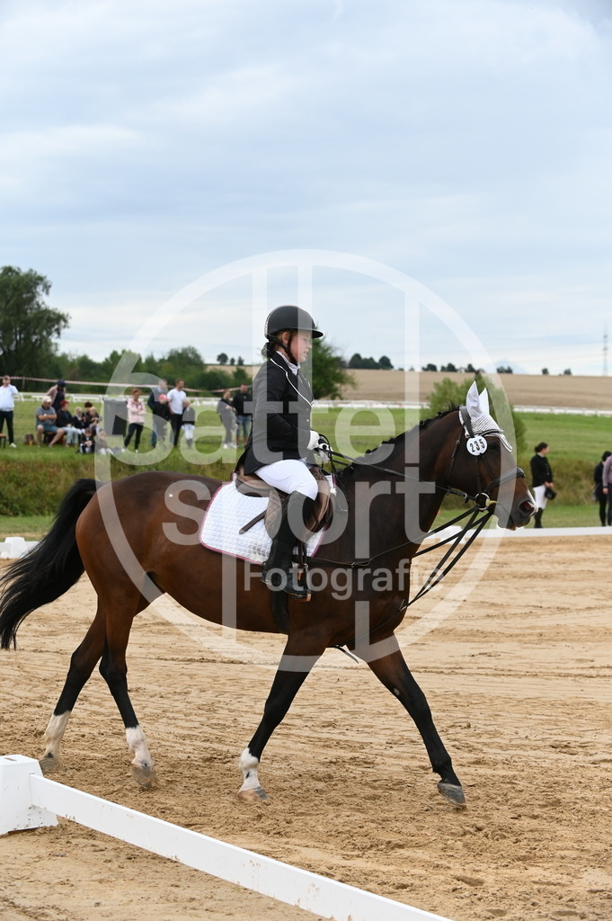 DSC_5374 | sattelsport - Realisiert mit Pictrs.com