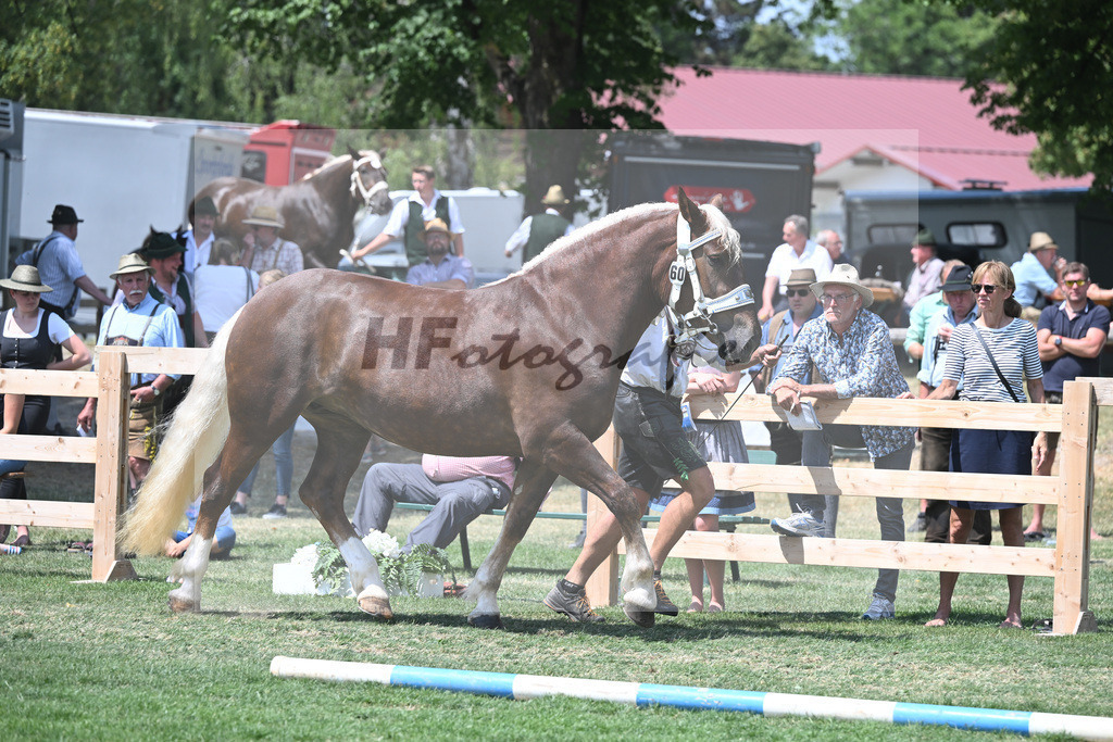 Kat-Nr. 60 Marie_Hoeck_20230979 | hf-fotografie - Realisiert mit Pictrs.com