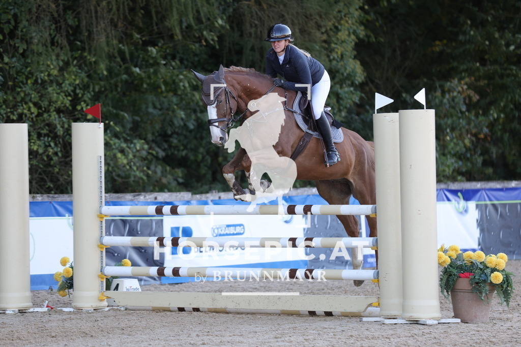 0P6A1952 | Willkommen bei Brunnmayr - Design & Fotografie – Ihrem Spezialisten für Reitturniere und Pferdeveranstaltungen in Oberösterreich, Salzburg und Bayern! Seit über 17 Jahren sind wir leidenschaftlich dabei.