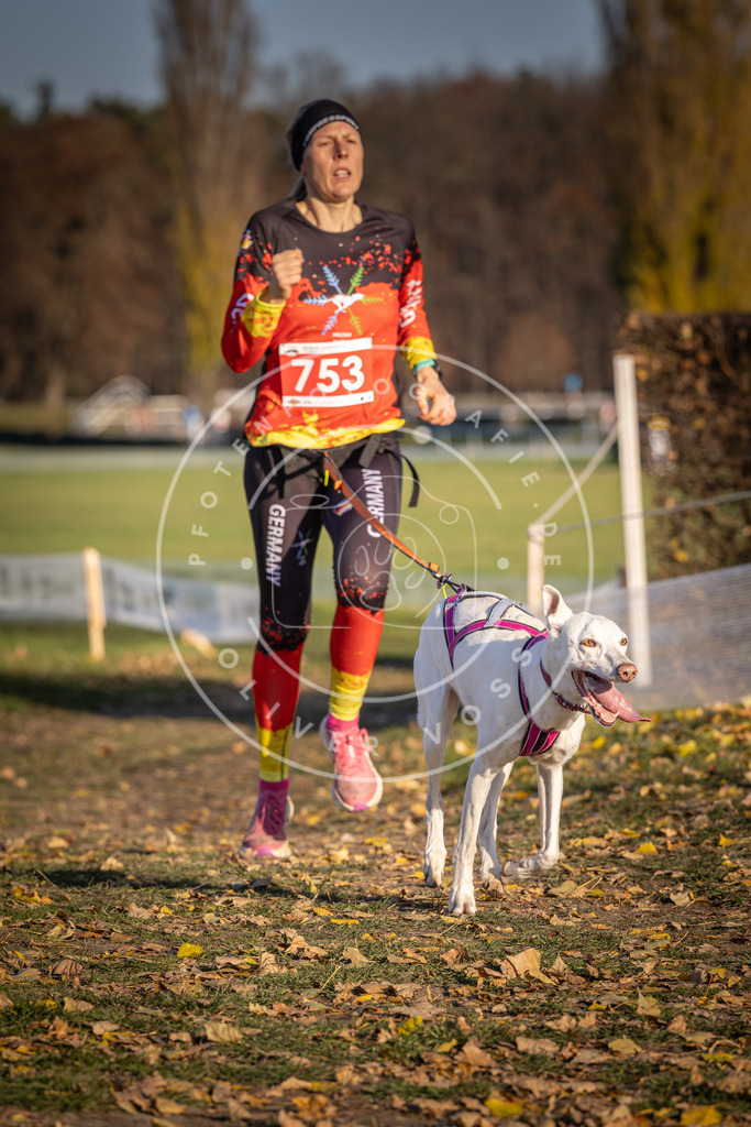 CaniXpix_DV3A2508 | Hundefotografie, Tierfotograf, Pfotenfotografie, Fotoshooting Hund, Hunde Portrait, Hundesport, Hundeportraits, Heideshooting, Hunde, Sportfotograf, Hundefotograf, Turnierhundsport, THS,  - Realisiert mit Pictrs.com