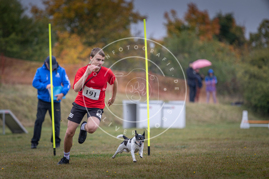 Pfotenfotografie_DV3A0299 | Hundefotografie, Tierfotograf, Pfotenfotografie, Fotoshooting Hund, Hunde Portrait, Hundesport, Hundeportraits, Heideshooting, Hunde, Sportfotograf, Hundefotograf, Turnierhundsport, THS,  - Realisiert mit Pictrs.com
