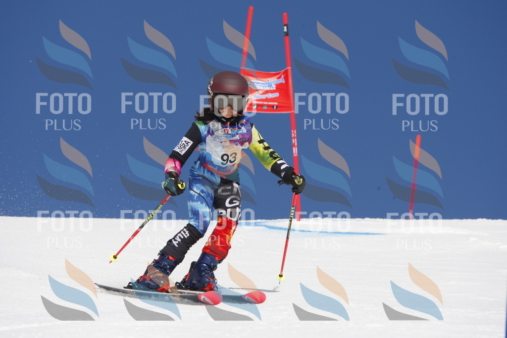 _W1G1364 | holidayphoto