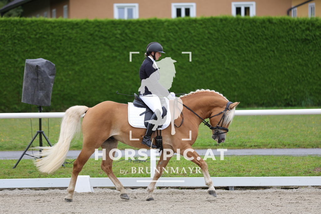 0P6A7742 | Willkommen bei Brunnmayr - Design & Fotografie – Ihrem Spezialisten für Reitturniere und Pferdeveranstaltungen in Oberösterreich, Salzburg und Bayern! Seit über 17 Jahren sind wir leidenschaftlich dabei.