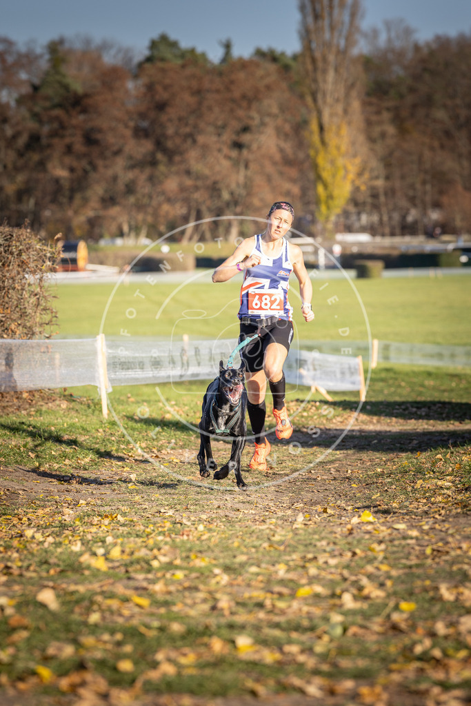 CaniXpix_DV3A1099 | Hundefotografie, Tierfotograf, Pfotenfotografie, Fotoshooting Hund, Hunde Portrait, Hundesport, Hundeportraits, Heideshooting, Hunde, Sportfotograf, Hundefotograf, Turnierhundsport, THS,  - Realisiert mit Pictrs.com