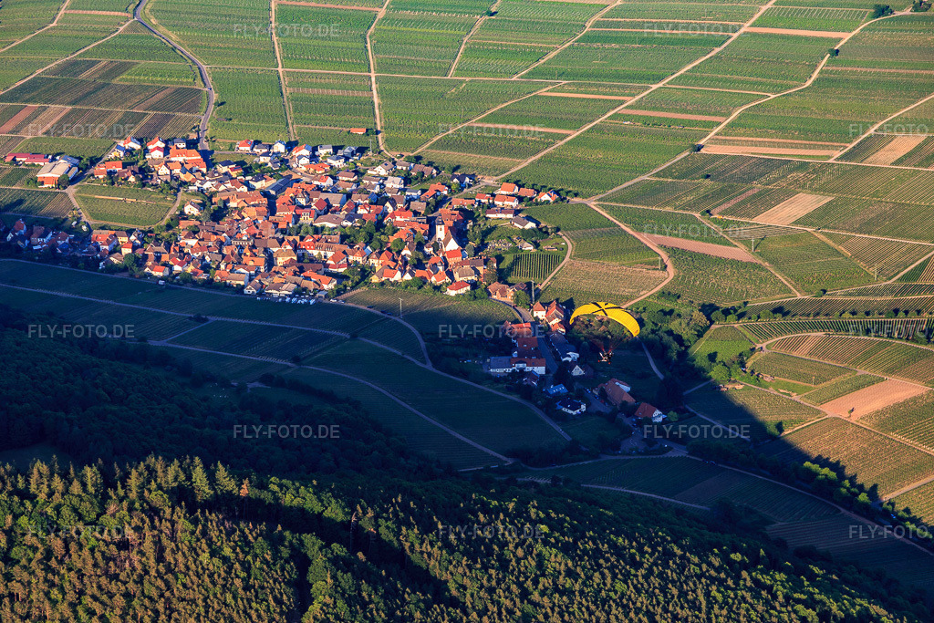Luftbild: Ortsansicht von Westen in Weyher in der Pfalz im Bundesland Rheinland-Pfalz in Deutschland. Foto: IMG_120763.jpg vom 21.05.2020 durch Werner Riehm/FLY-FOTO.de