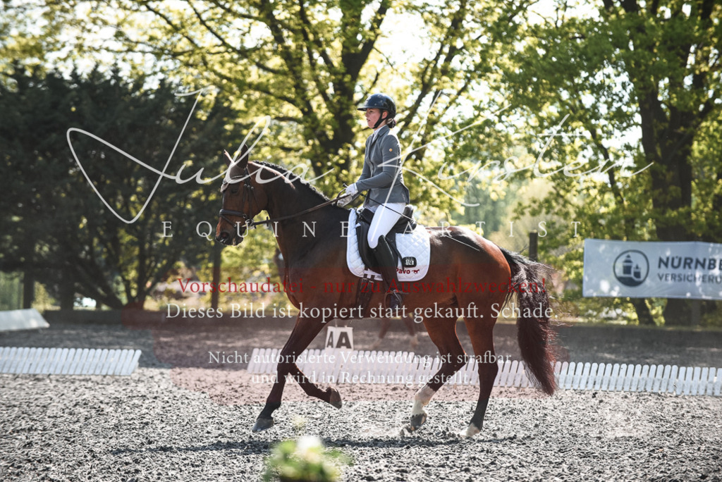 DSC_8977 | Pferde- und Turnierfotografie in Westsachsen. Pferdeportraits, Auftragszeichnungen und intuitive Kunst.