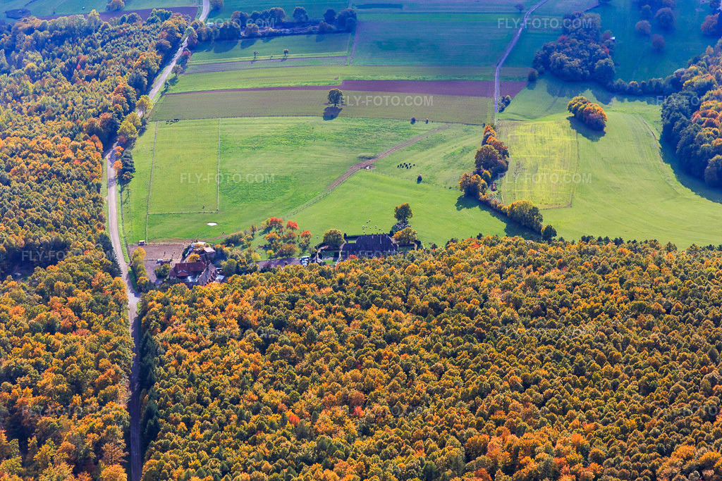 Aerial view: Ferme Mellon and Villa Le Riesack in Niederbronn-les-Bains in the state Bas-Rhin, France.Photo: IMG_084699.jpg taken on 10/23/2015 by Werner Riehm/FLY-FOTO.comResolution of the original: 5472 x 3648 pxWWW.FERMEMELLON.COM