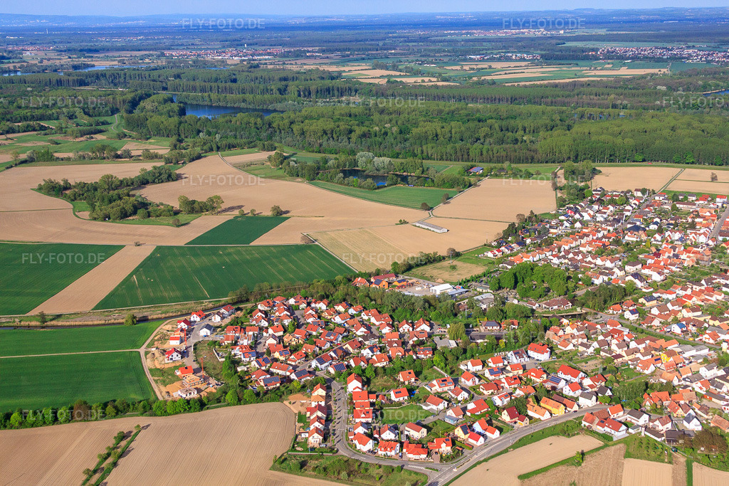 Luftbild: Dorfansicht von Westen in Leimersheim im Bundesland Rheinland-Pfalz in Deutschland. Foto: IMG_49998.jpg vom 01.05.2012 durch Werner Riehm/FLY-FOTO.de