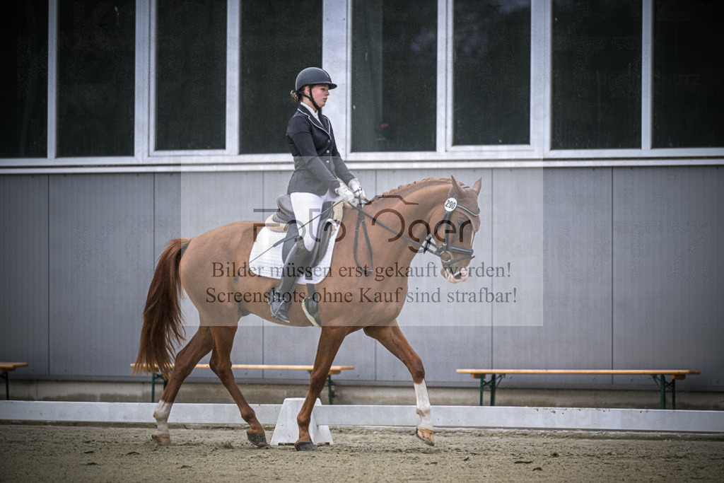 DOS_0175 | Entdecke hochwertige Reitturnierfotos von Foto Oger. Professionell, emotional und authentisch – jetzt Lieblingsmomente im Shop bestellen.Deutschlandweite Turnierfotografie. - Realisiert mit Pictrs.com