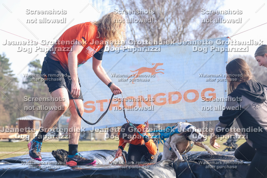 Dog Paparazzi - Strongdog North Mrz26-967 | Dog Paparazzi Jeanette Grottendiek Fotografie & Videografie - Realisiert mit Pictrs.com