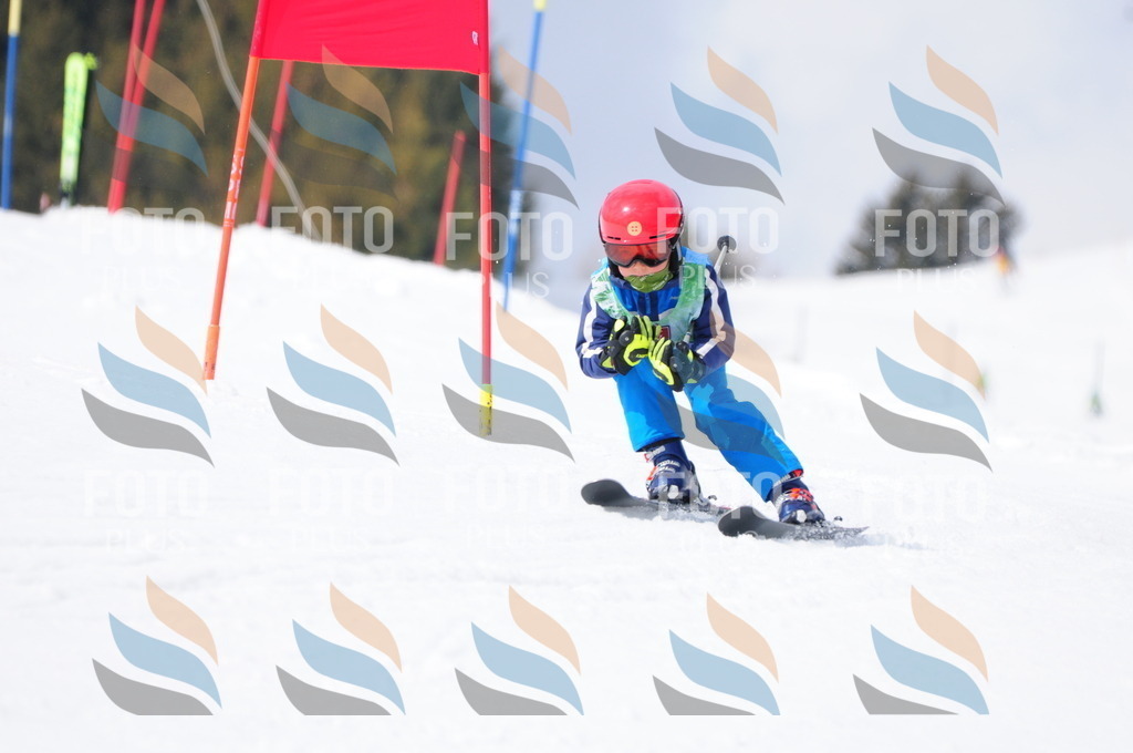 A3712 | holidayphoto