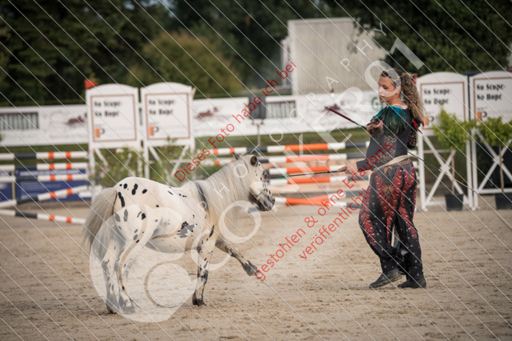 DSC_9968 | Sport-, Event- und Tierfotos in Profiqualität. Einfach auswählen, bestellen und herunterladen. Dein Moment – perfekt festgehalten.