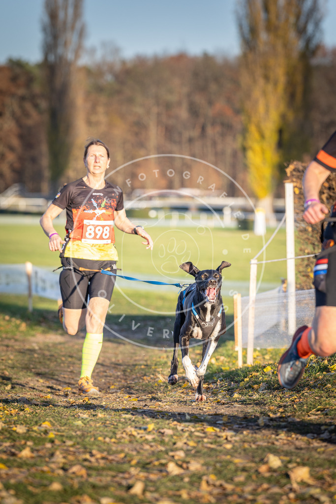 CaniXpix_DV3A4539 | Hundefotografie, Tierfotograf, Pfotenfotografie, Fotoshooting Hund, Hunde Portrait, Hundesport, Hundeportraits, Heideshooting, Hunde, Sportfotograf, Hundefotograf, Turnierhundsport, THS,  - Realisiert mit Pictrs.com