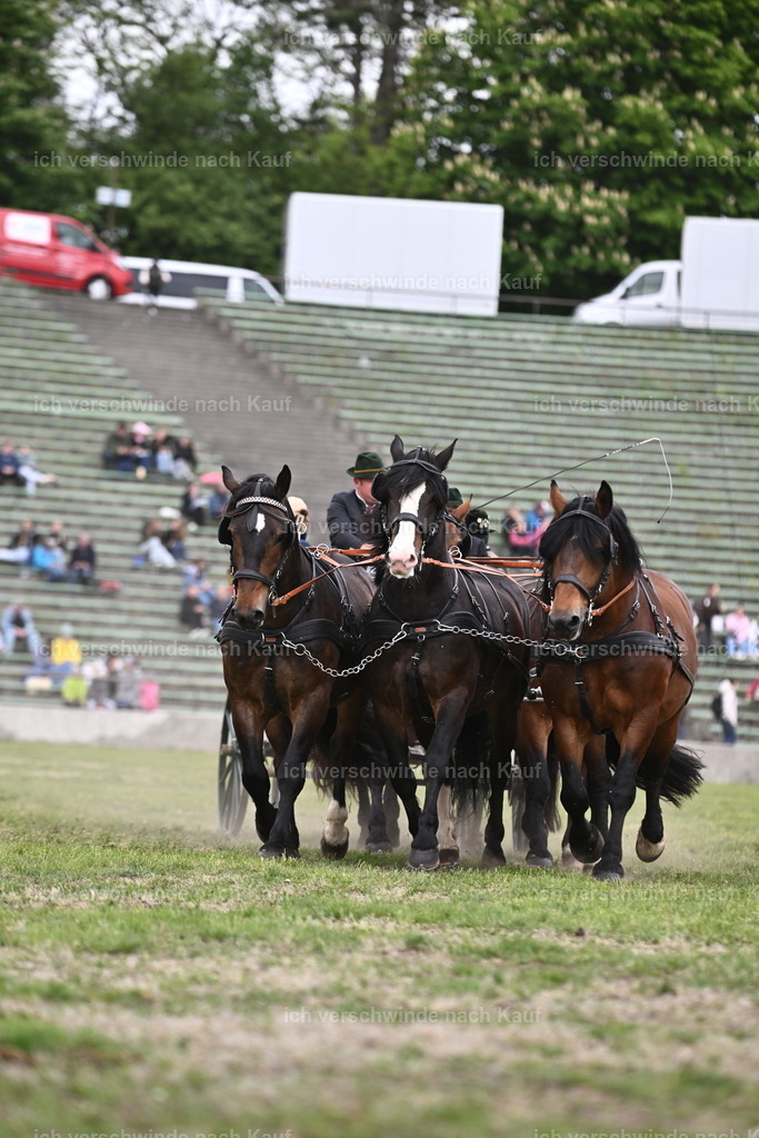 PI26_Show_Sara_Landvogt_226_1367.JPG | working equitationturnier fotograf videograf stoibphotography marixx film working equitation deutschland reitsport turnierfotografie eventfotografie equestrian events