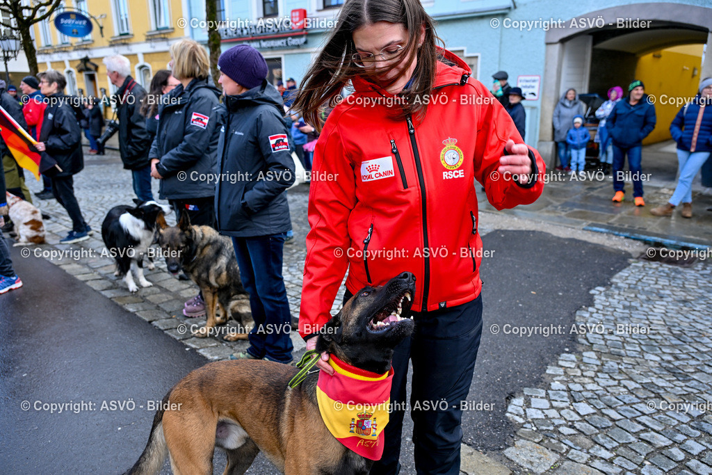 ASVÖ_ Tracking Dog World Championship 2025_ 31.03.2025-233 | 31.03.2025, AUT, ASVÖ, Tracking Dog World Championship // FCI IGP Fährtenhundeweltmeisterschaft 2025©fodo.media / Harald Dostal - Realisiert mit Pictrs.com