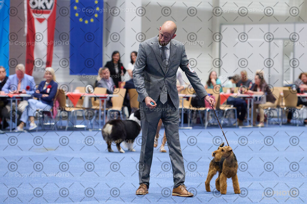 202406_ÖKV-IHA-Tulln24_DSC_3347 | proPHOTO - Realisiert mit Pictrs.com