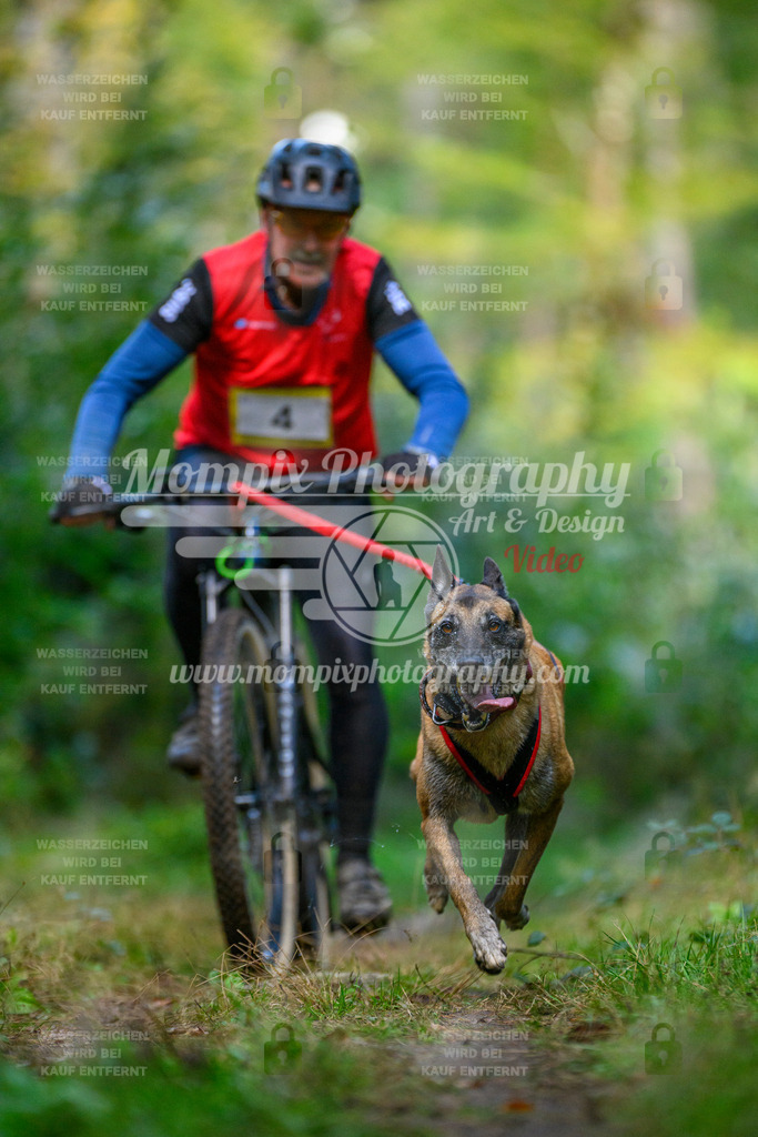 MompixPhotography_Yens2025_B1-11 | PayLife